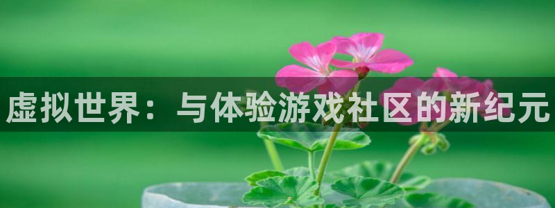 极悦娱乐娱乐：虚拟世界：与体验游戏社区的新纪元