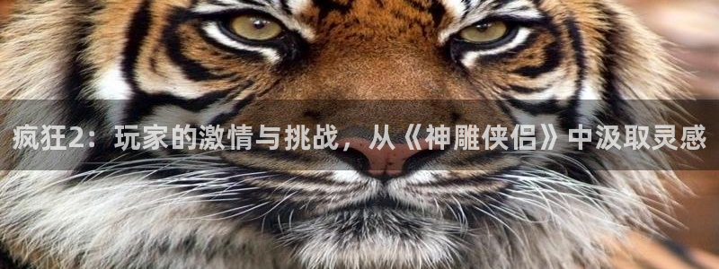 极悦娱乐网页登录入口下载：疯狂2：玩家的激情与挑战，从《神雕