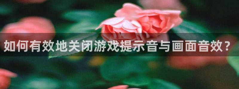 极悦娱乐游戏：如何有效地关闭游戏提示音与画面音效？