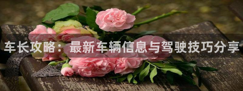 极悦娱乐注册网站：车长攻略：最新车辆信息与驾驶技巧分享