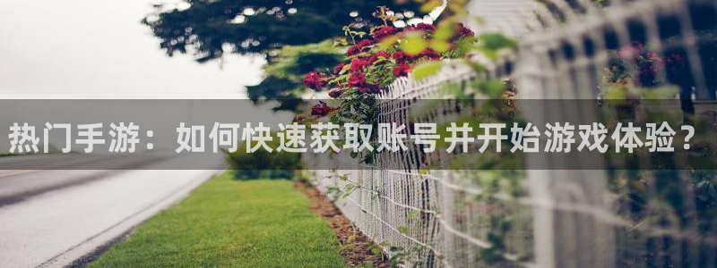 极悦娱乐注册登录平台：热门手游：如何快速获取账号并开始游戏体