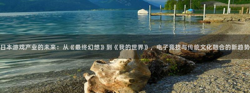极悦娱乐注册登录平台：日本游戏产业的未来：从《最终幻想》到《