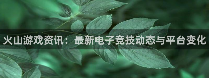 极悦娱乐娱乐是真的吗：火山游戏资讯：最新电子竞技动态与平台变