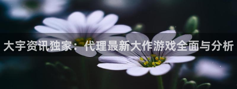 极悦娱乐Ii：大宇资讯独家：代理最新大作游戏全面与分析