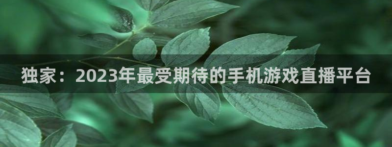 极悦娱乐网页登录入口官网：独家：2023年最受期待的手机游戏