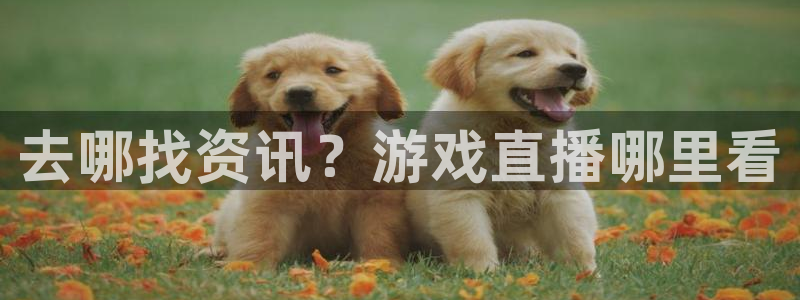 极悦娱乐在线登录：去哪找资讯？游戏直播哪里看