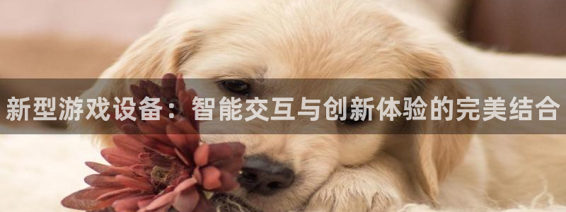 极悦娱乐开户测速